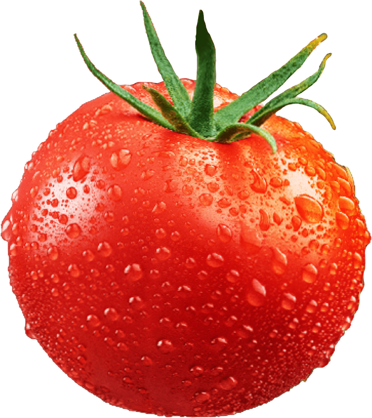 Tomato left.png
